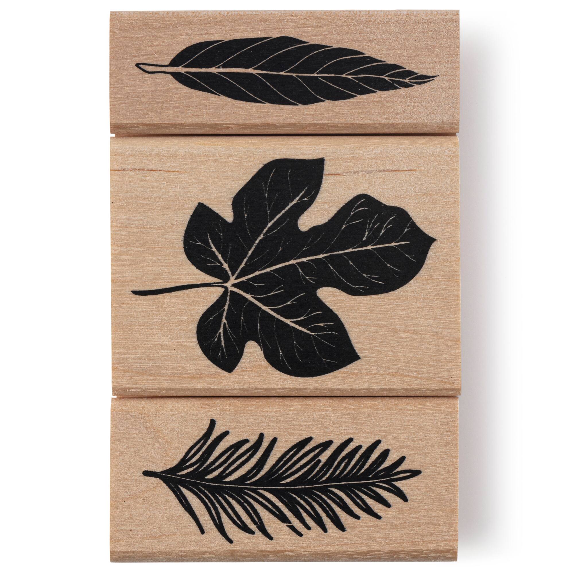 Leaf Stamp Set by Recollections™